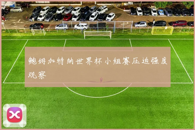 鲍姆加特纳世界杯小组赛压迫强度观察
