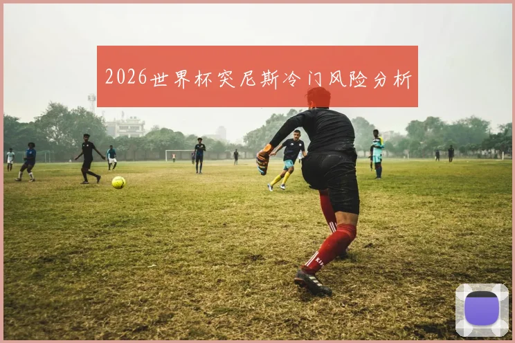 2026世界杯突尼斯冷门风险分析