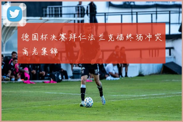 德国杯决赛拜仁法兰克福终场冲突高光集锦