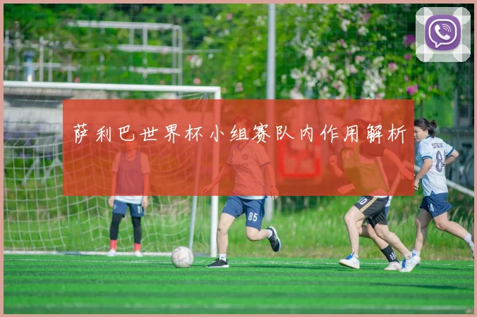 萨利巴世界杯小组赛队内作用解析