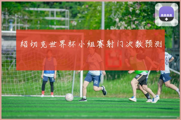 绍切克世界杯小组赛射门次数预测