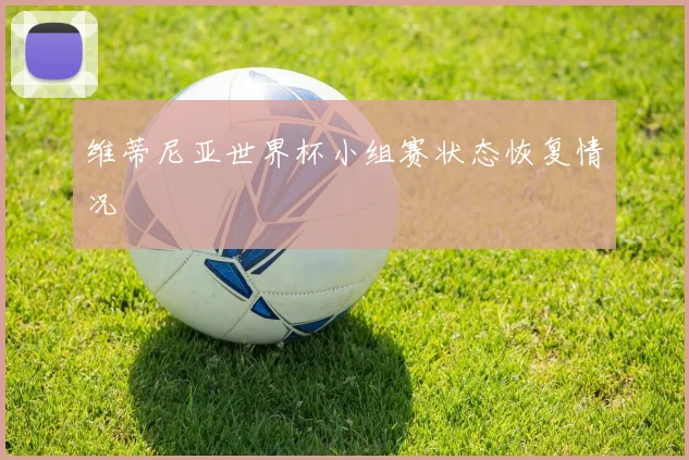 维蒂尼亚世界杯小组赛状态恢复情况