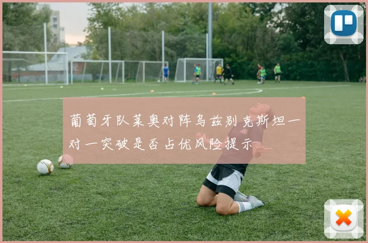 葡萄牙队莱奥对阵乌兹别克斯坦一对一突破是否占优风险提示